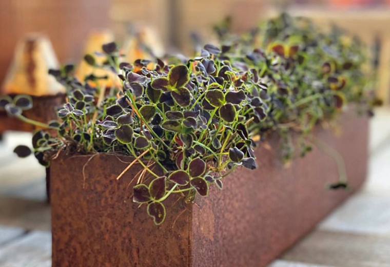 Snímka obrazovky 2026-03-31 091723