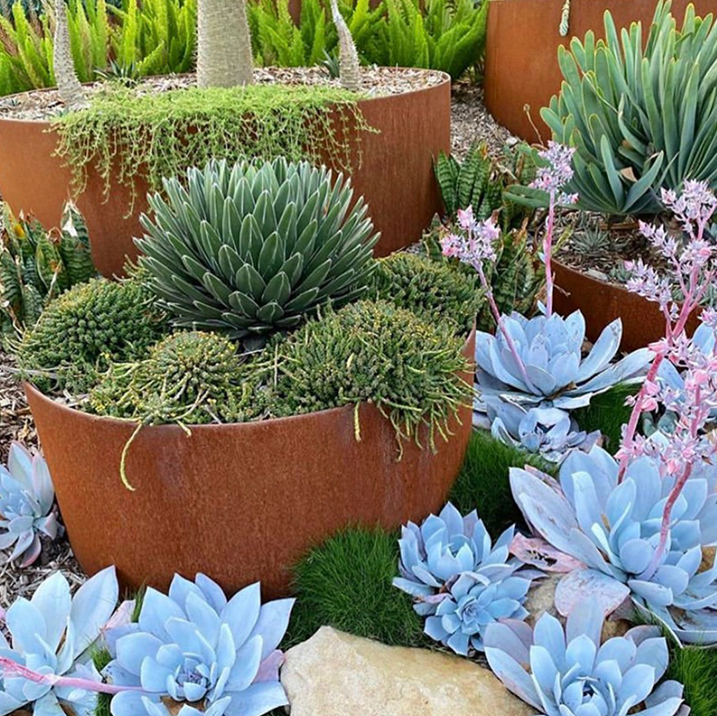 Snímka obrazovky 2026-03-31 091827