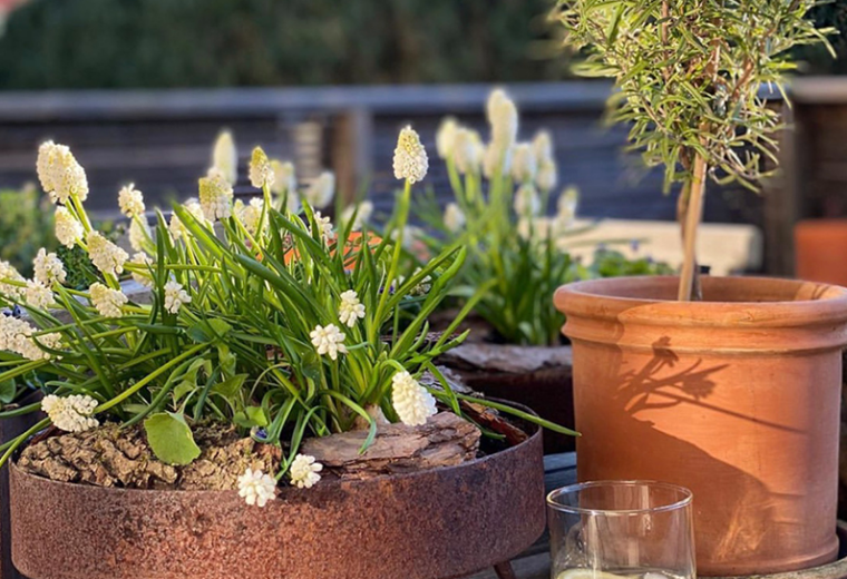 Snímka obrazovky 2026-03-31 091901